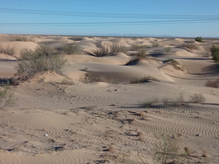 CA Dunes